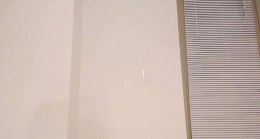 BabyCarrot_ video thumbnail