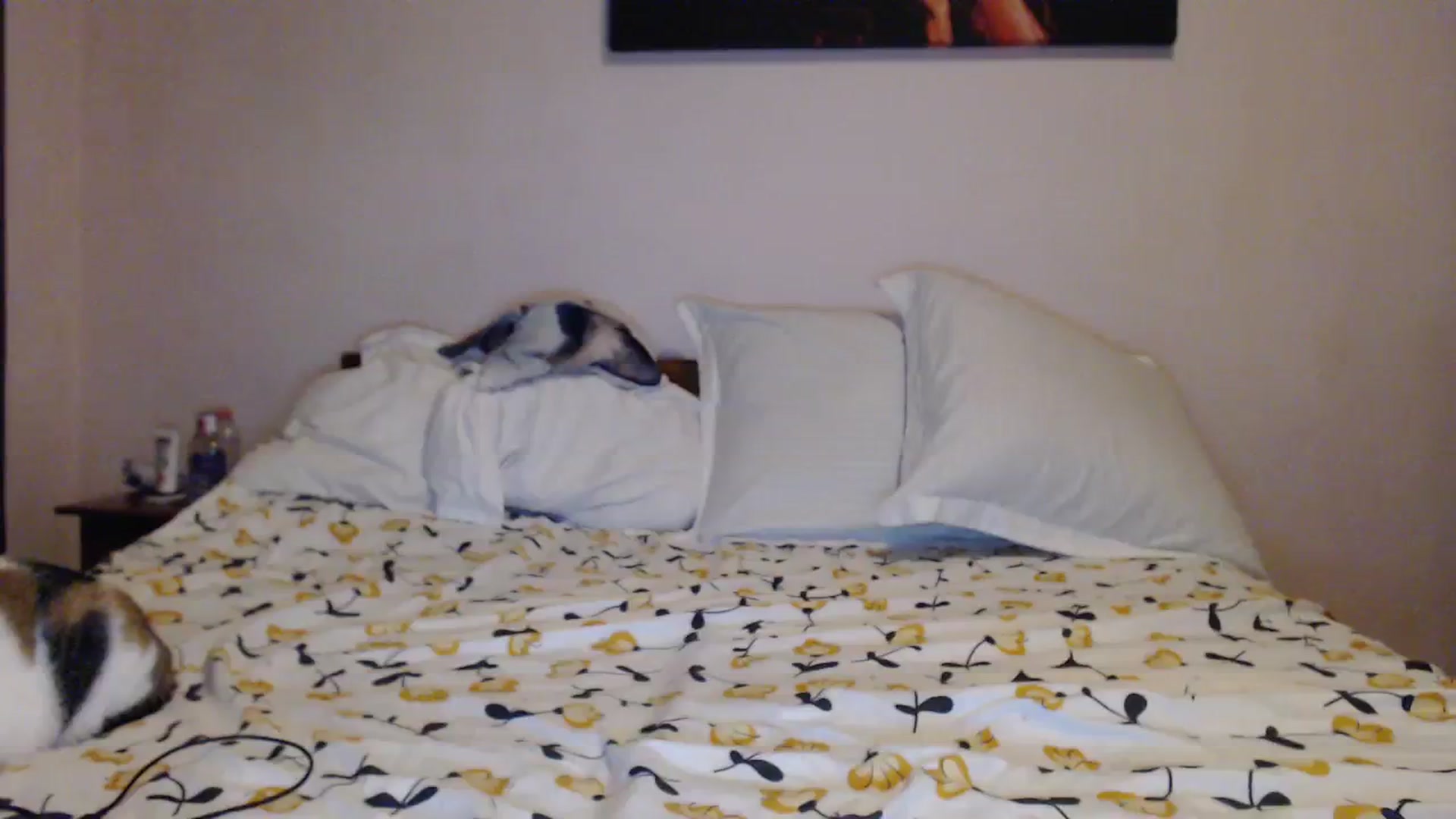 Aahh_Emilia video thumbnail