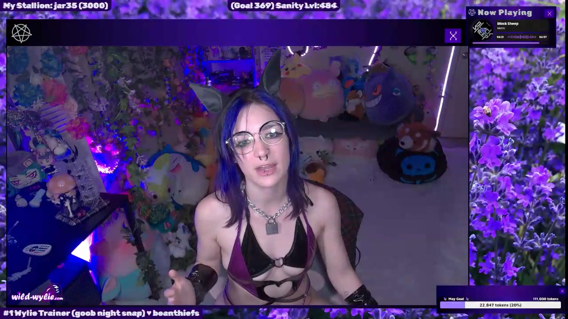 WildWyliePM video thumbnail