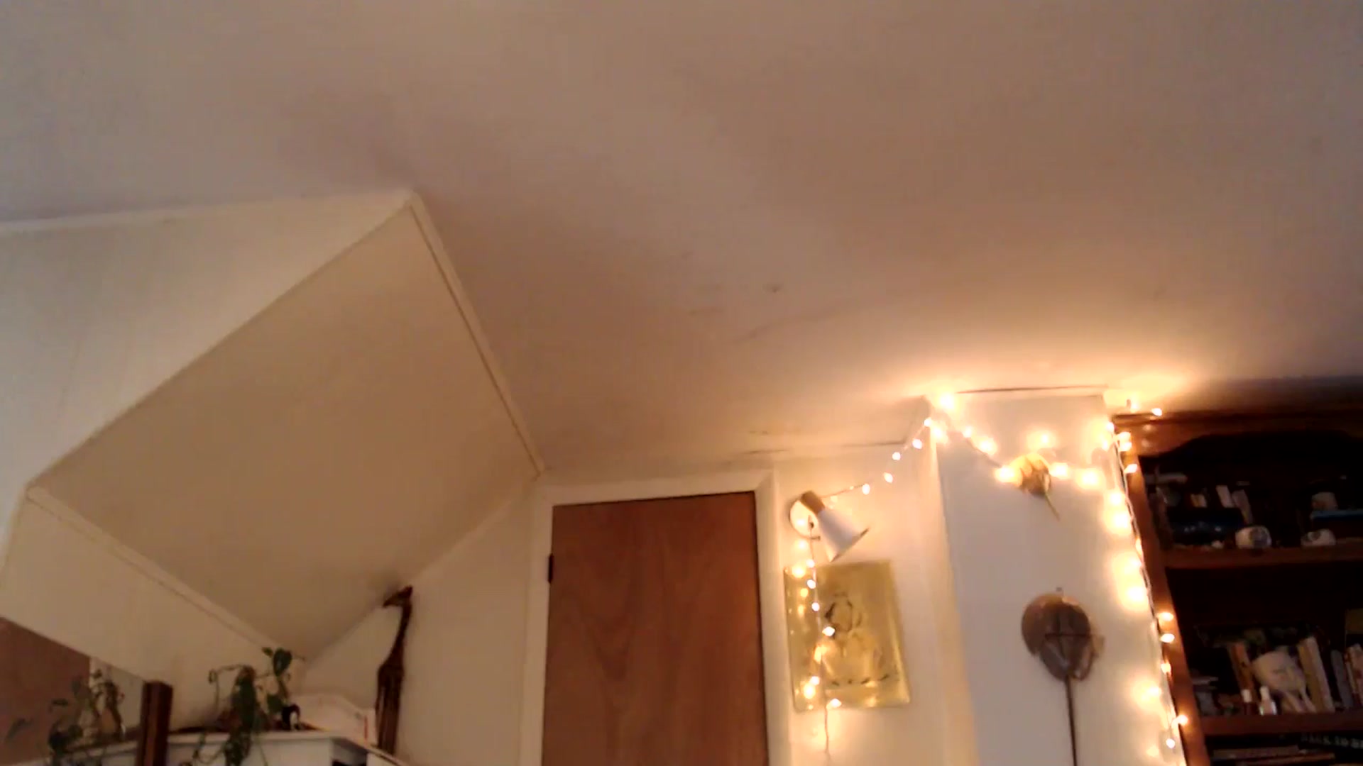 WildflowerEm video thumbnail