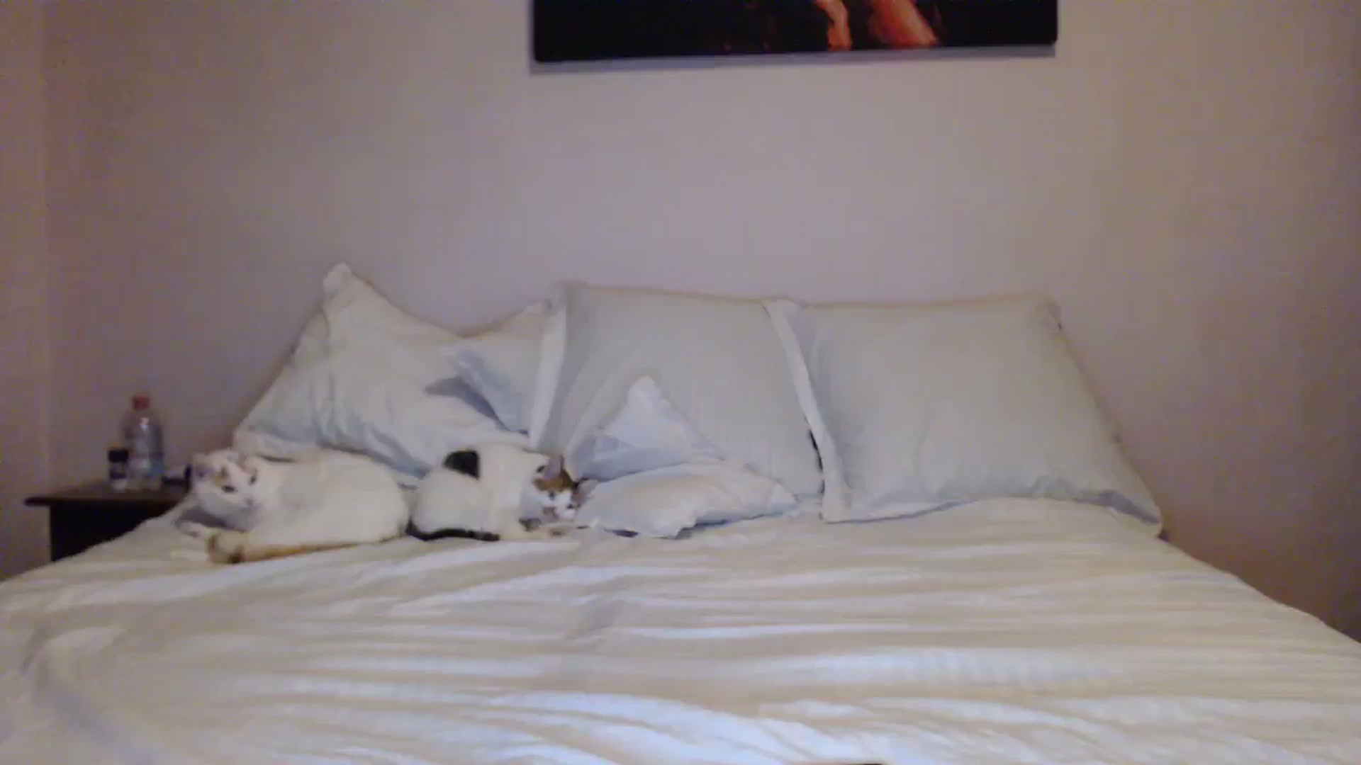 Aahh_Emilia video thumbnail