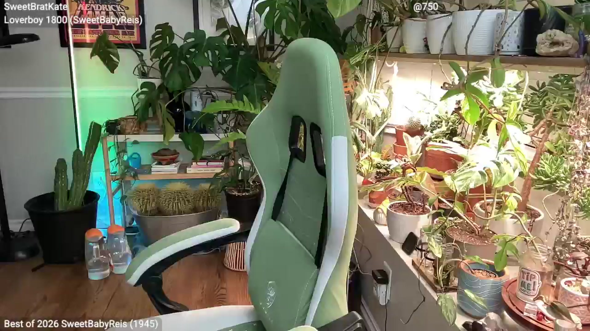 SweetbratKate video thumbnail