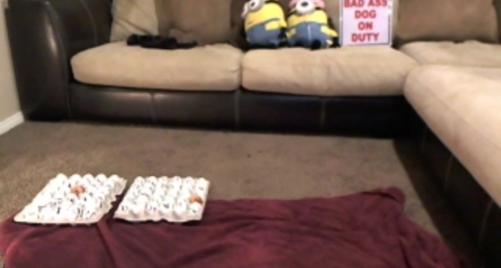 LexxiStar video thumbnail