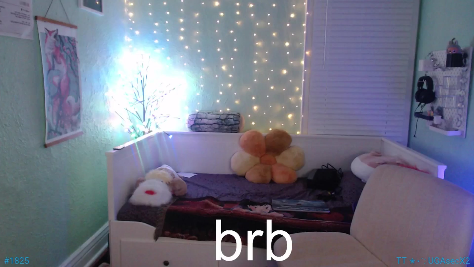 Jane_Fern video thumbnail