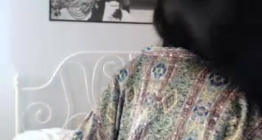 EVA_KITTEN video thumbnail