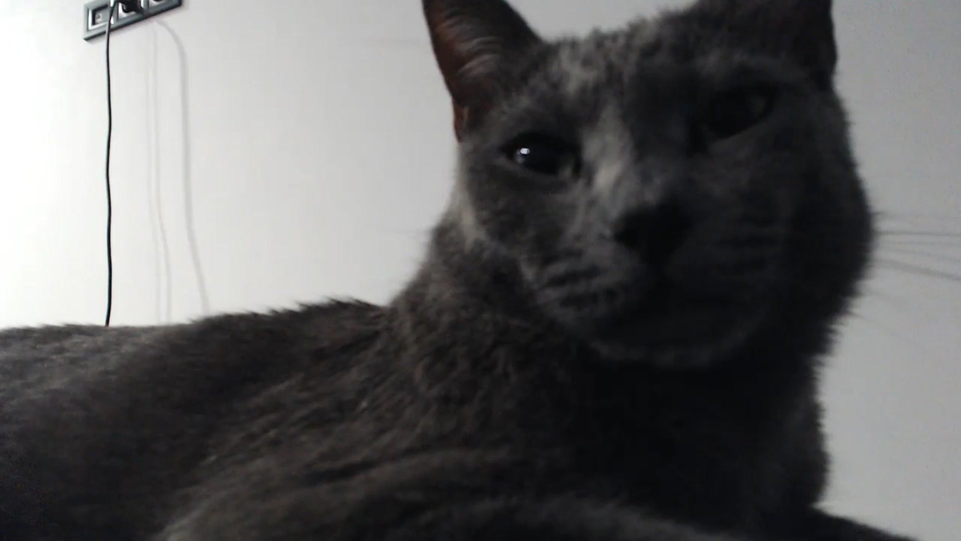 fiancee video thumbnail