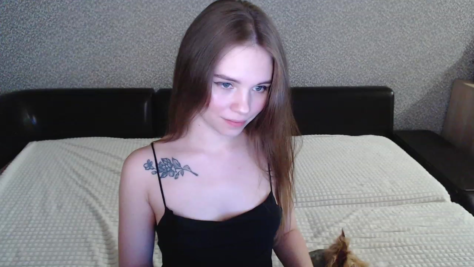 minishy video thumbnail