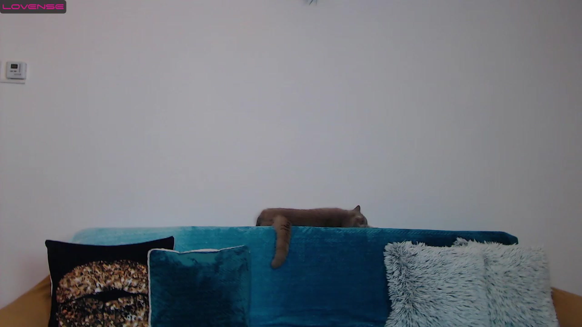 Sara_Daisy video thumbnail