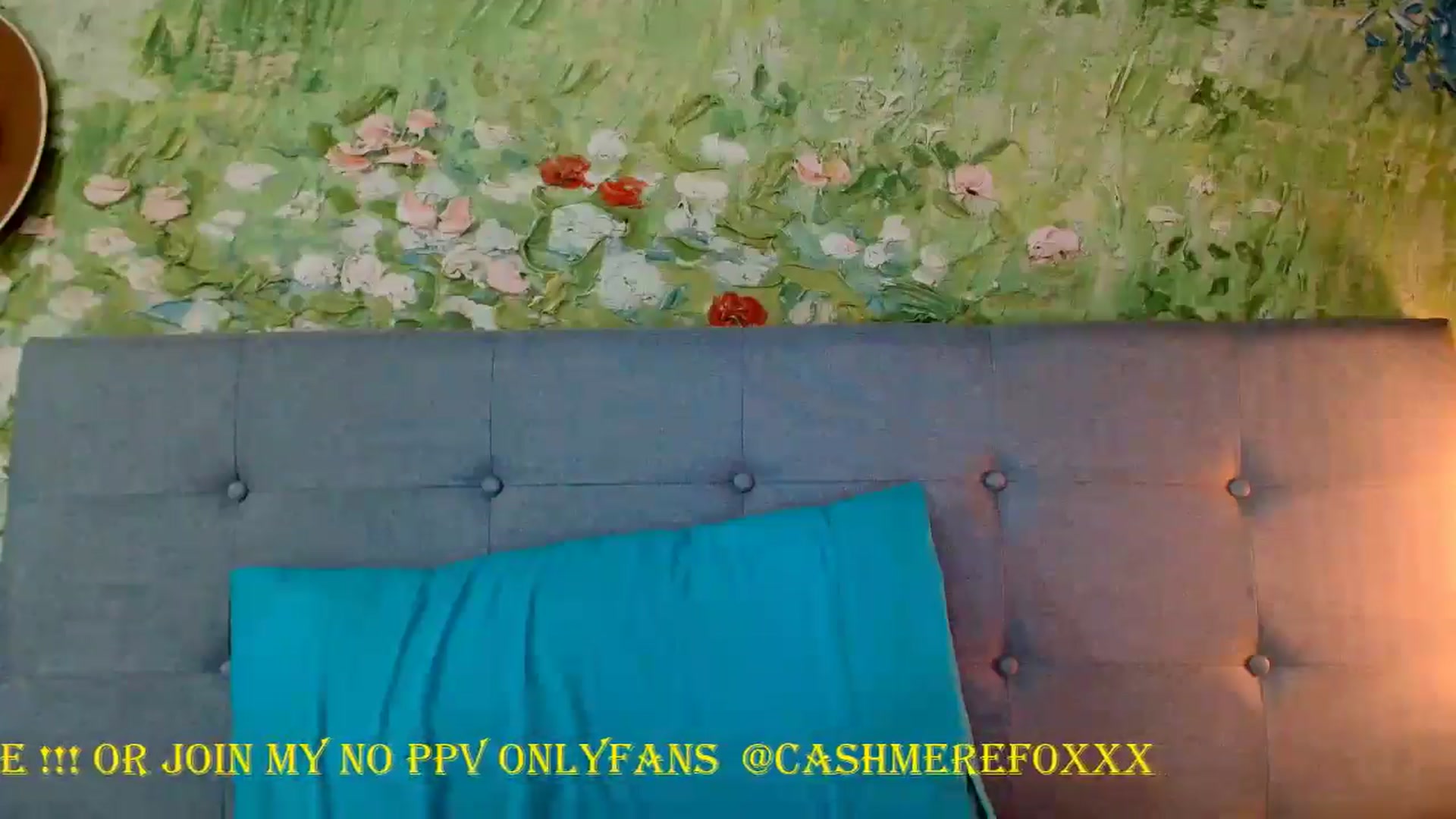CashmereFoxxx video thumbnail