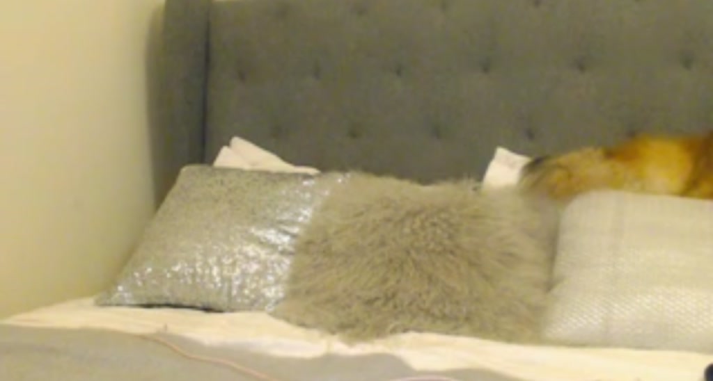 LondonRae video thumbnail