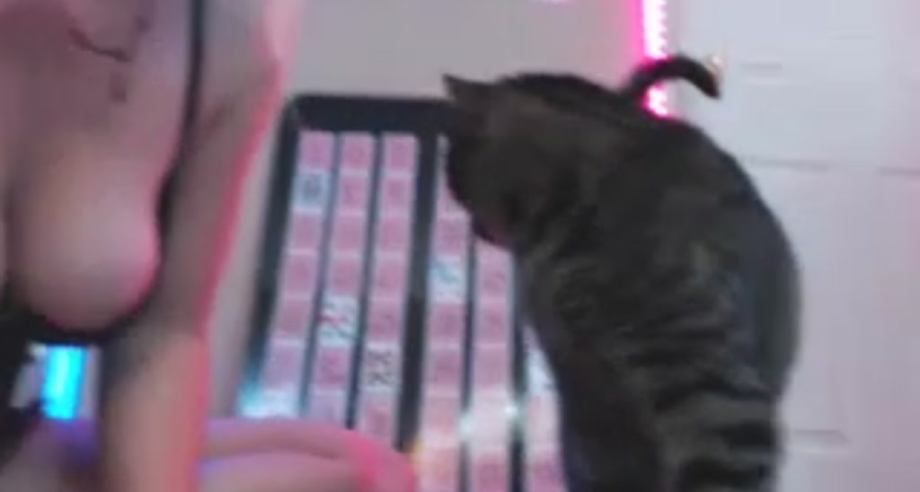 CandieCane video thumbnail