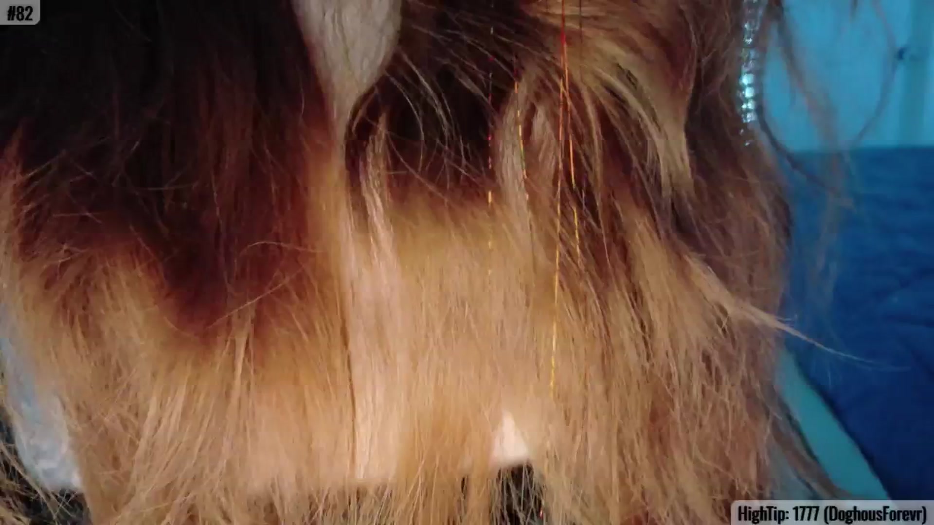 AvalynnRose video thumbnail