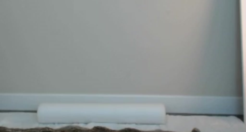 AlexaPond video thumbnail