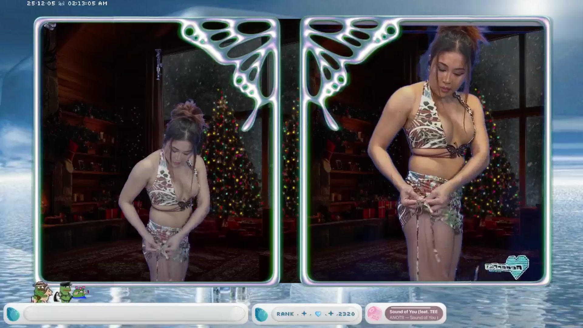 AedonFlux video thumbnail
