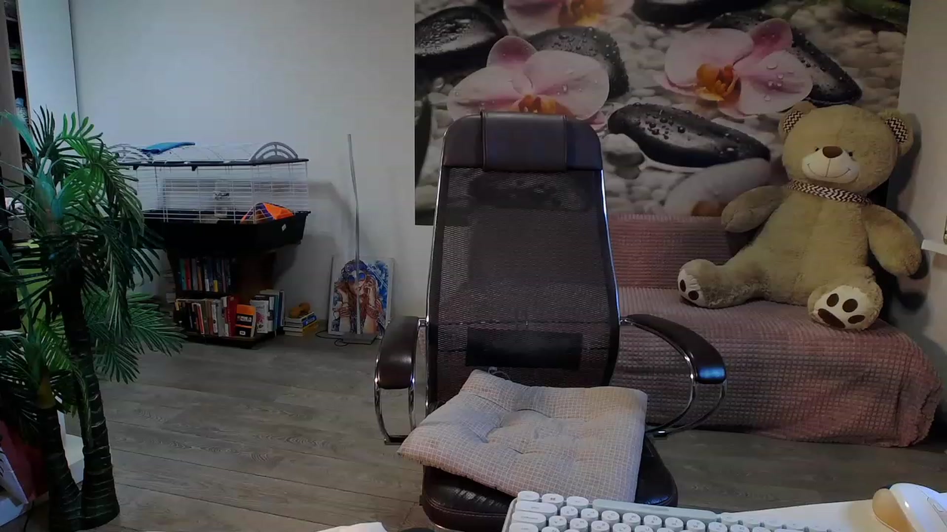 HoneyIAmHome video thumbnail