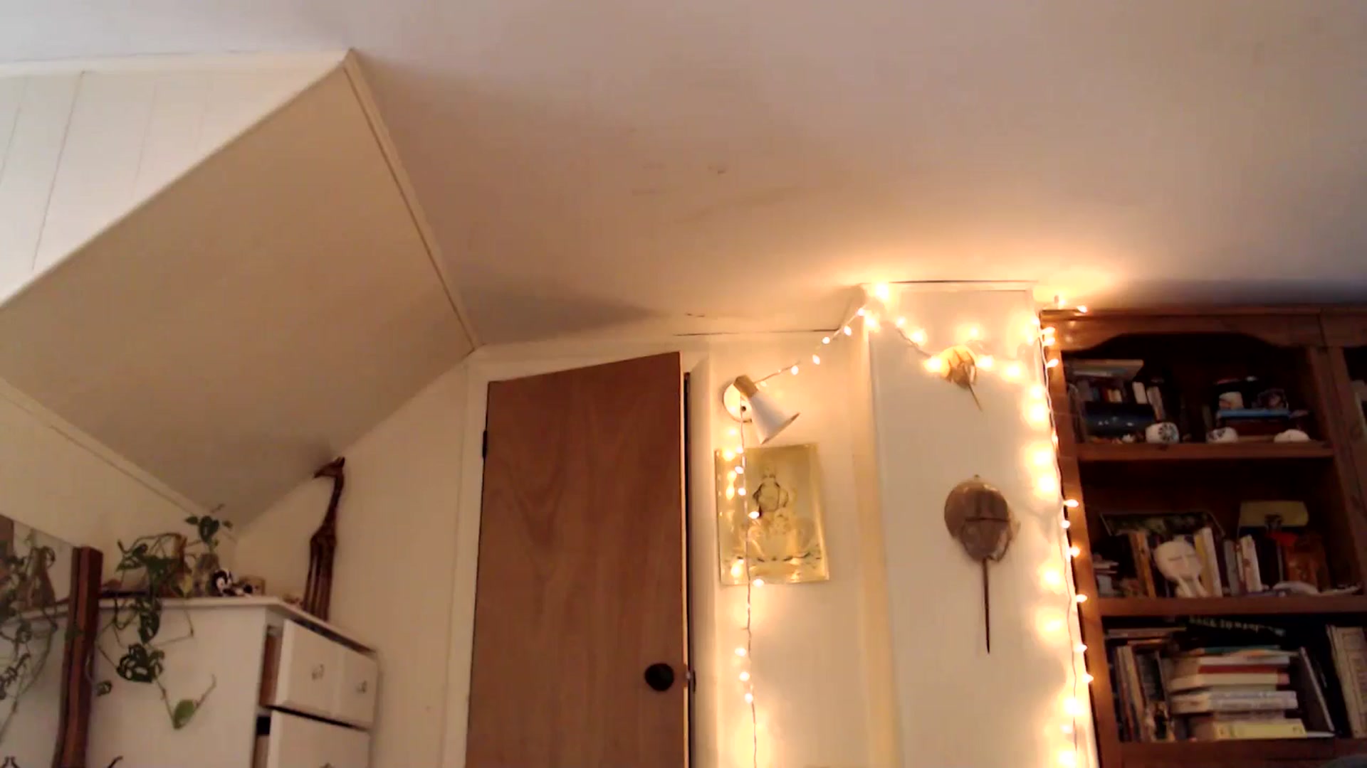 WildflowerEm video thumbnail
