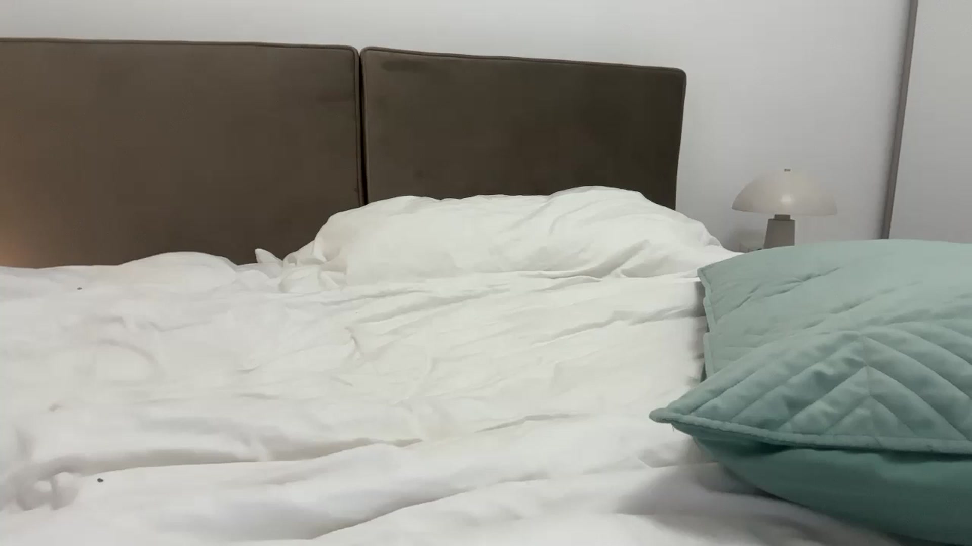 SkySunFlower video thumbnail