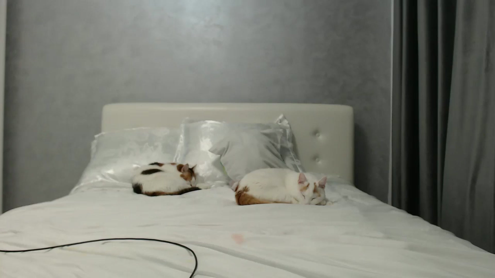 Aahh_Emilia video thumbnail