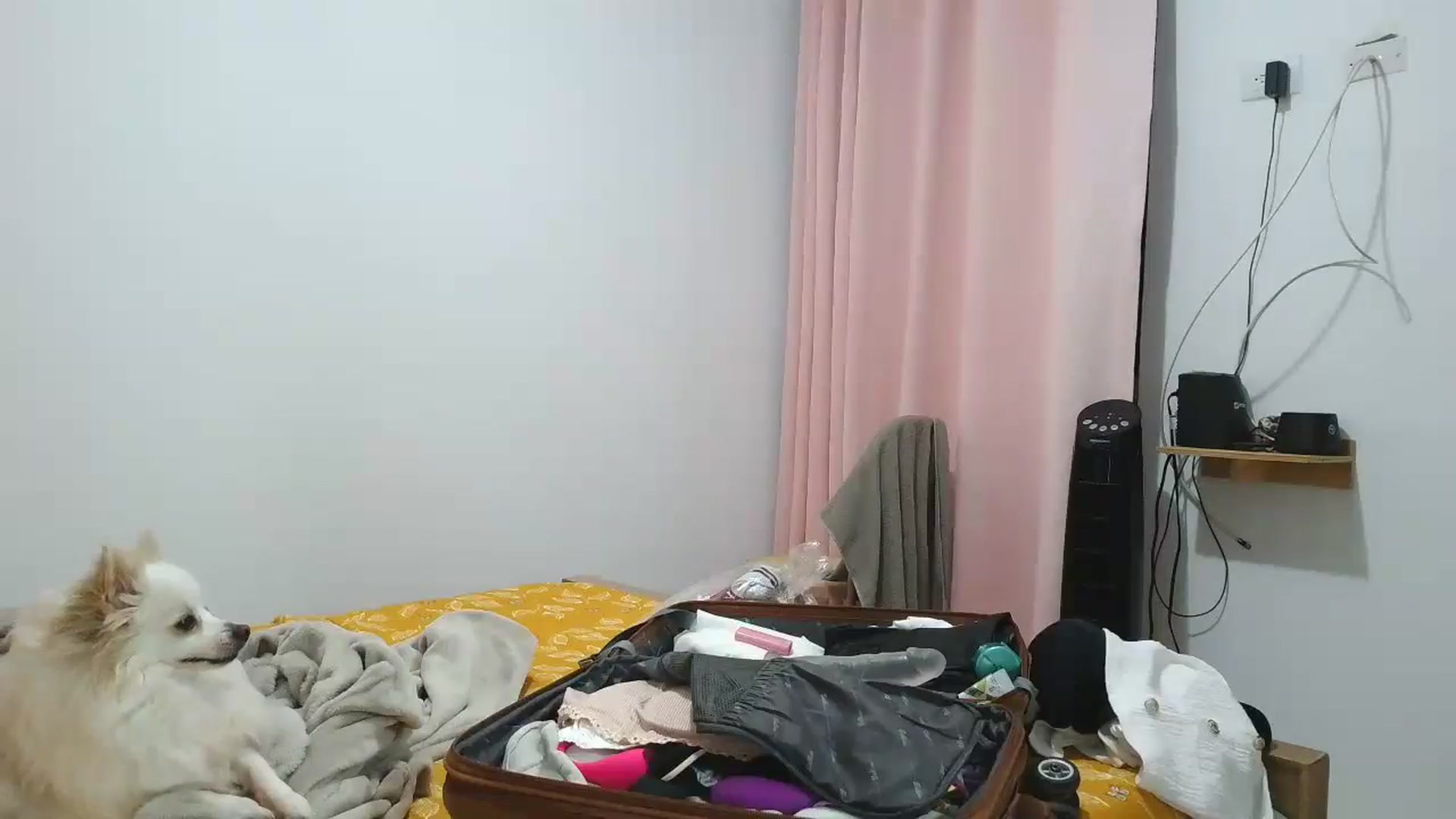 yesicat video thumbnail