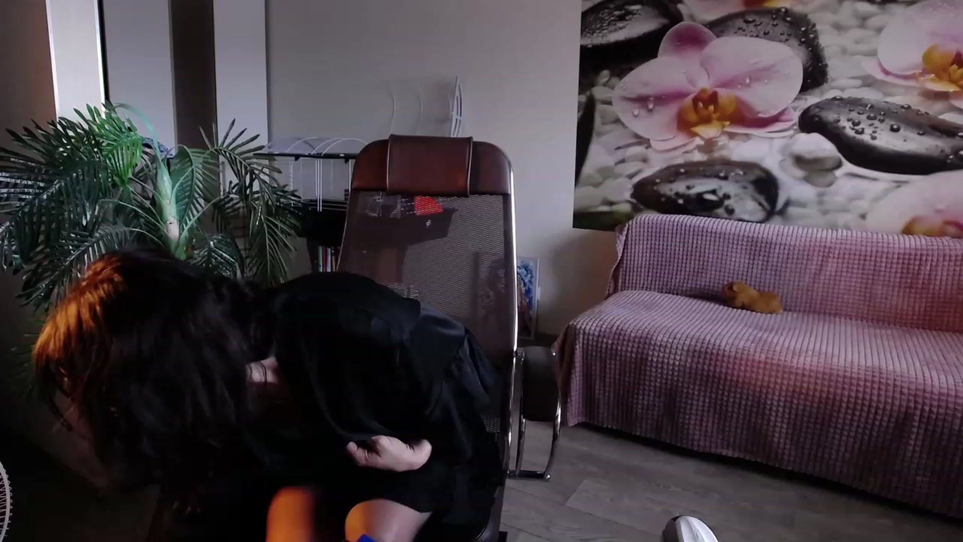 HoneyIAmHome video thumbnail