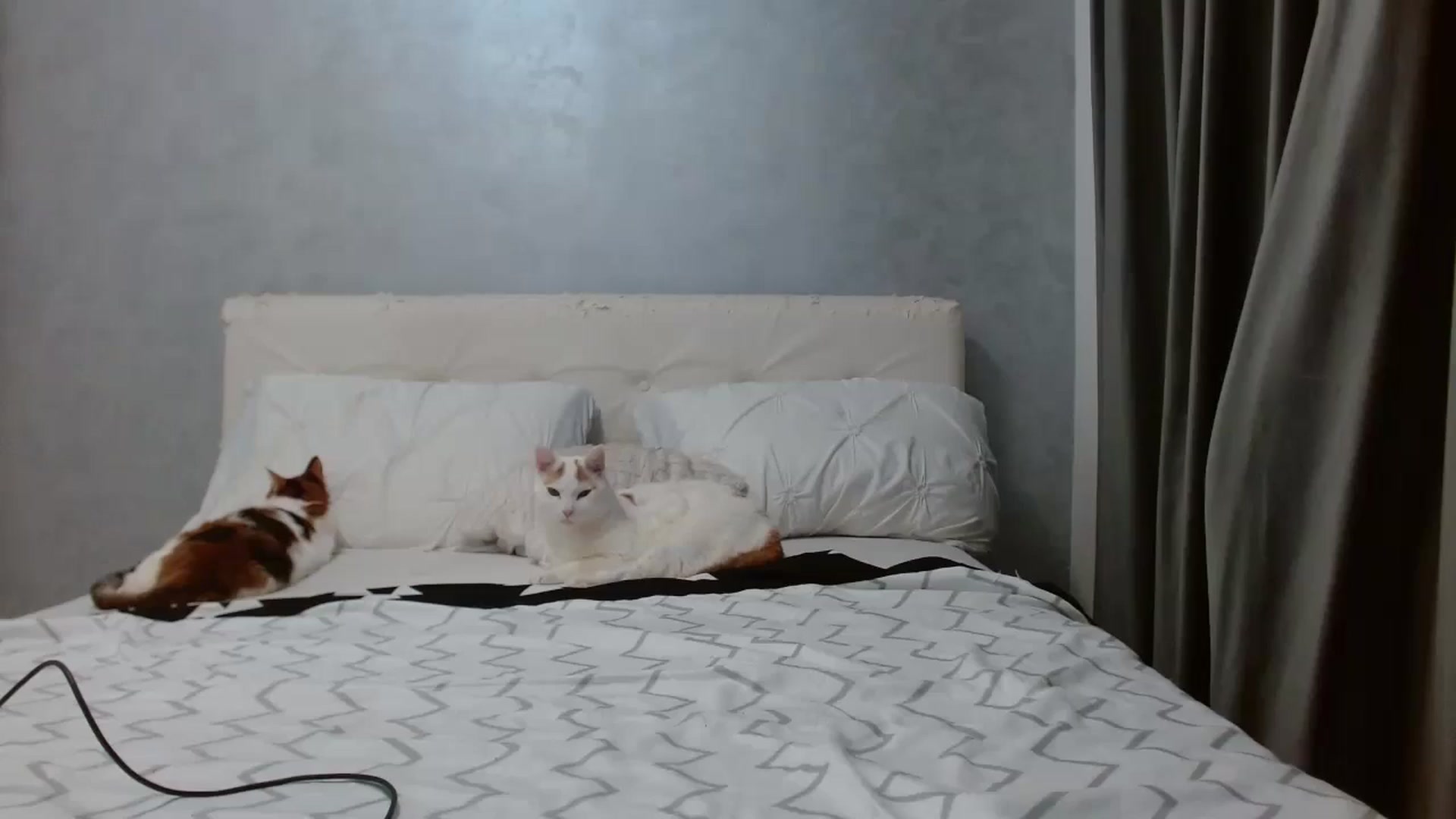 Aahh_Emilia video thumbnail