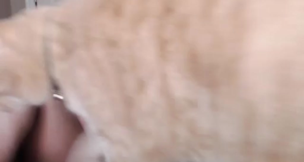 OhOlivia video thumbnail