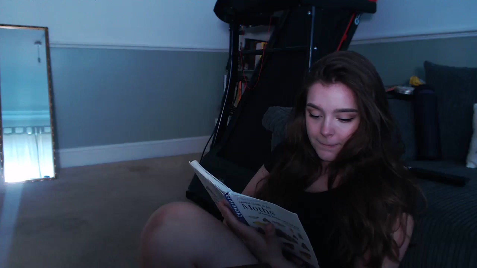 KittyCash3w video thumbnail