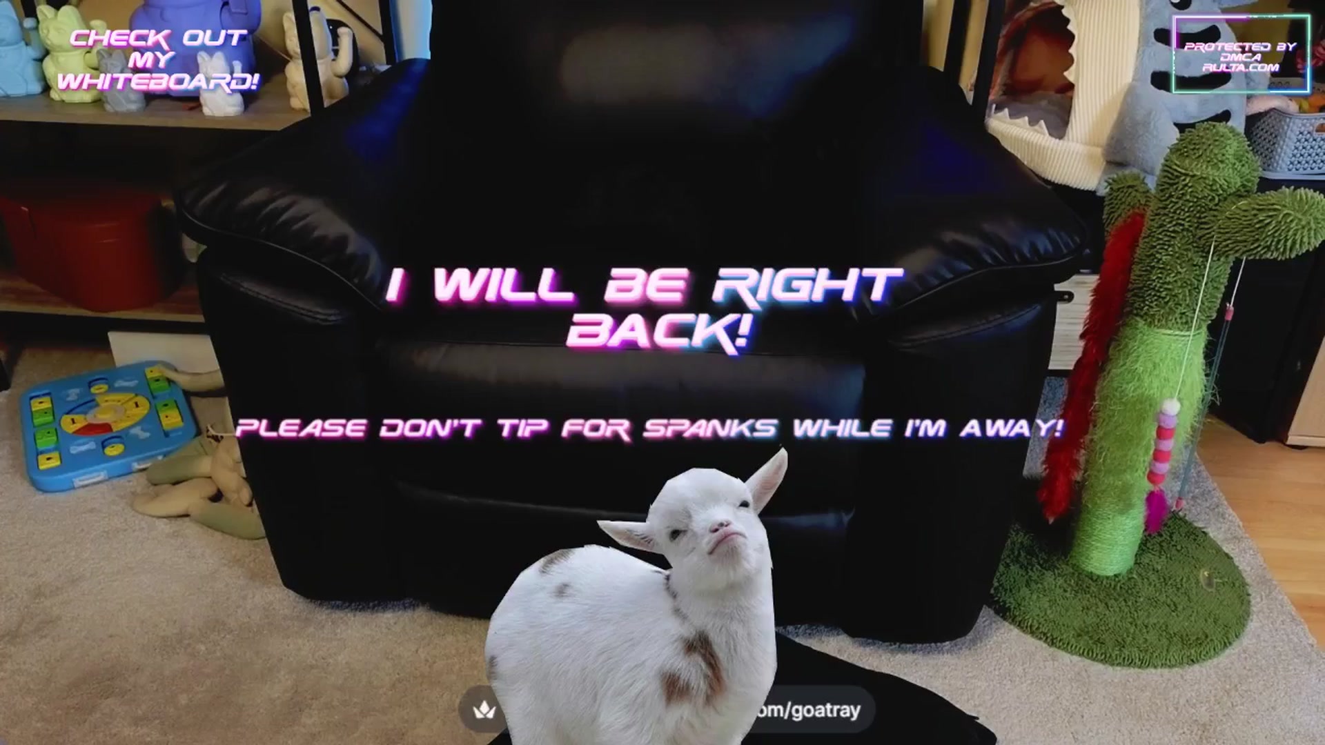 TamaraRay video thumbnail