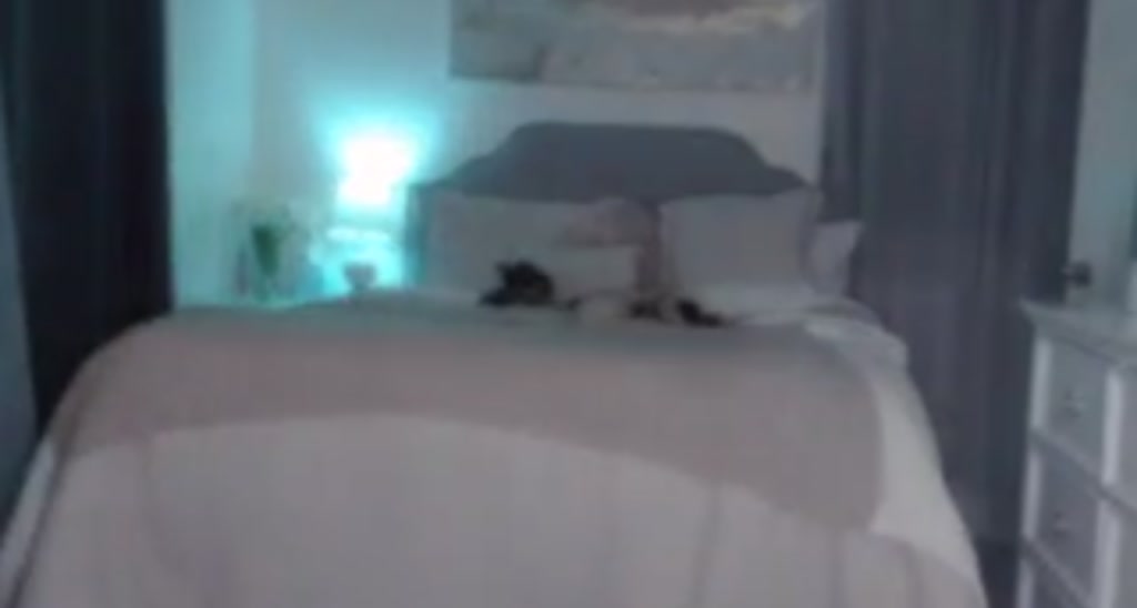 Queen_Bambi video thumbnail