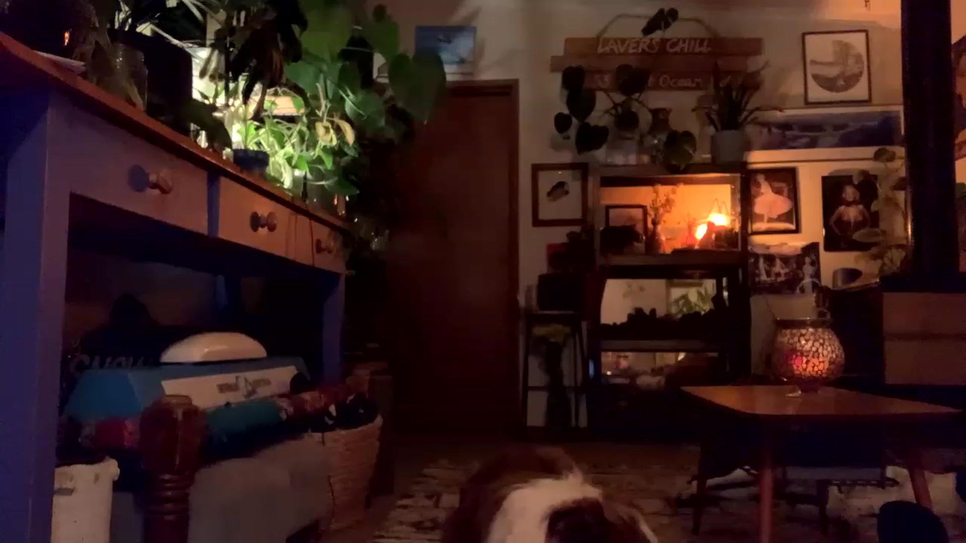 Belen_O video thumbnail