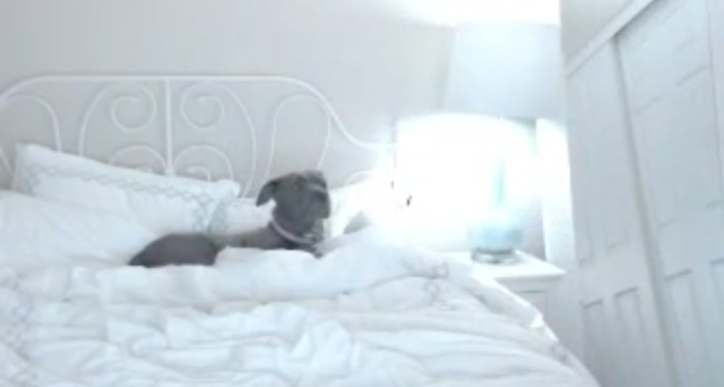 Bunni_ video thumbnail