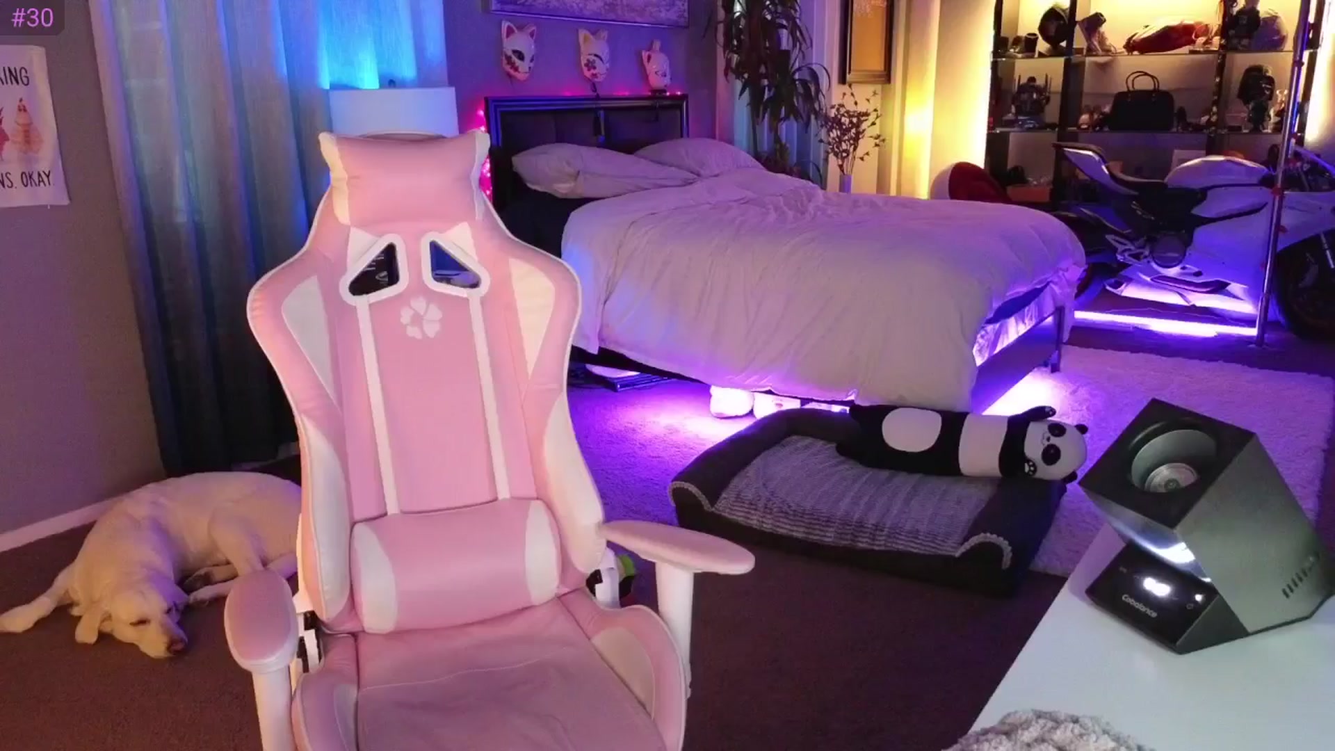 LexxiStar video thumbnail