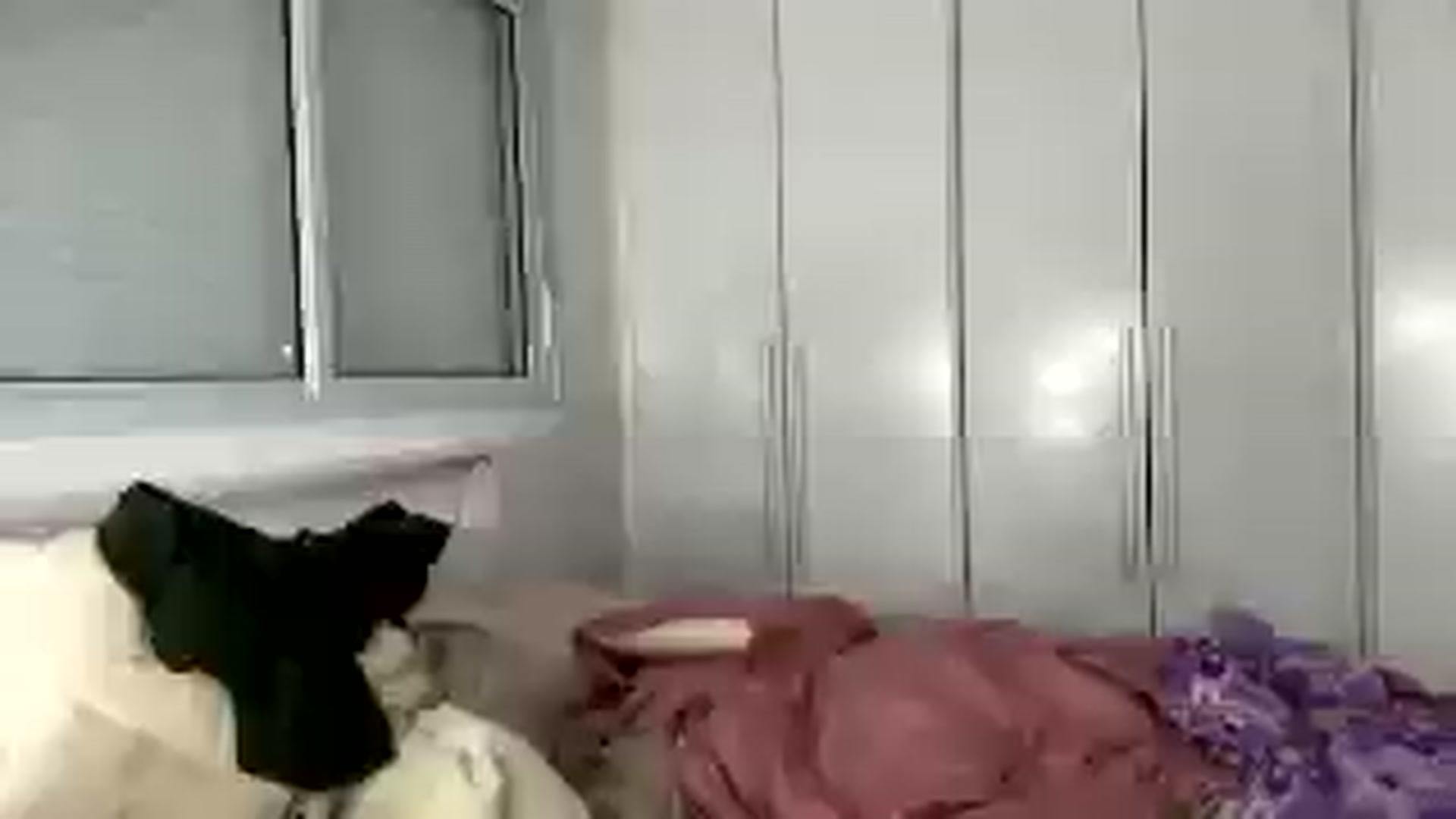 cateyes1 video thumbnail