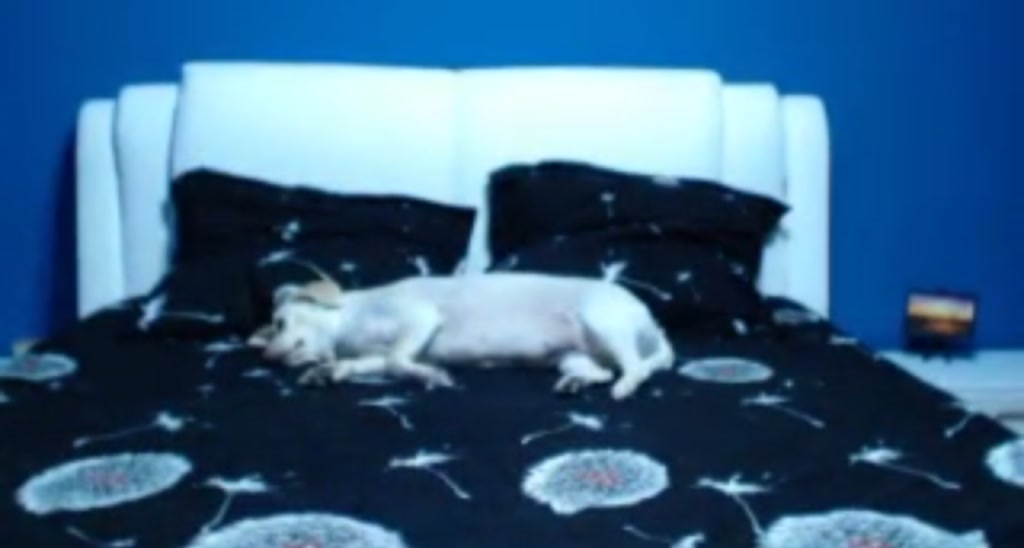 Adinasweety video thumbnail