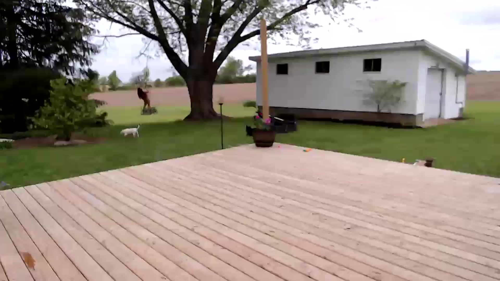 FarmGirl__ video thumbnail