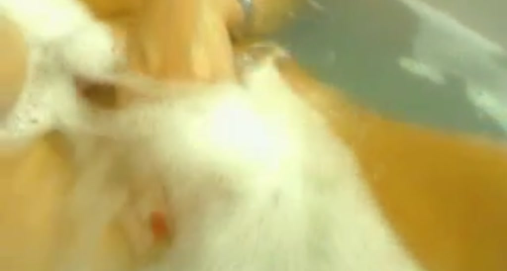 ana_ro video thumbnail