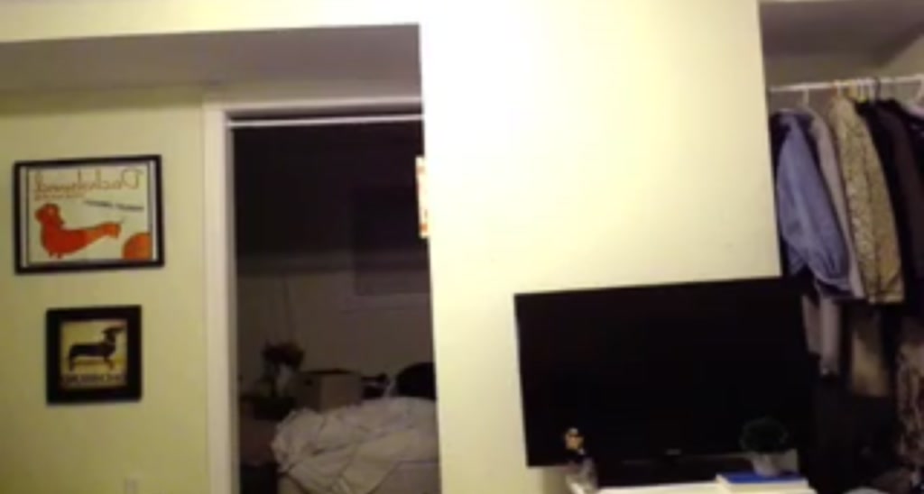 Zeta_bb video thumbnail