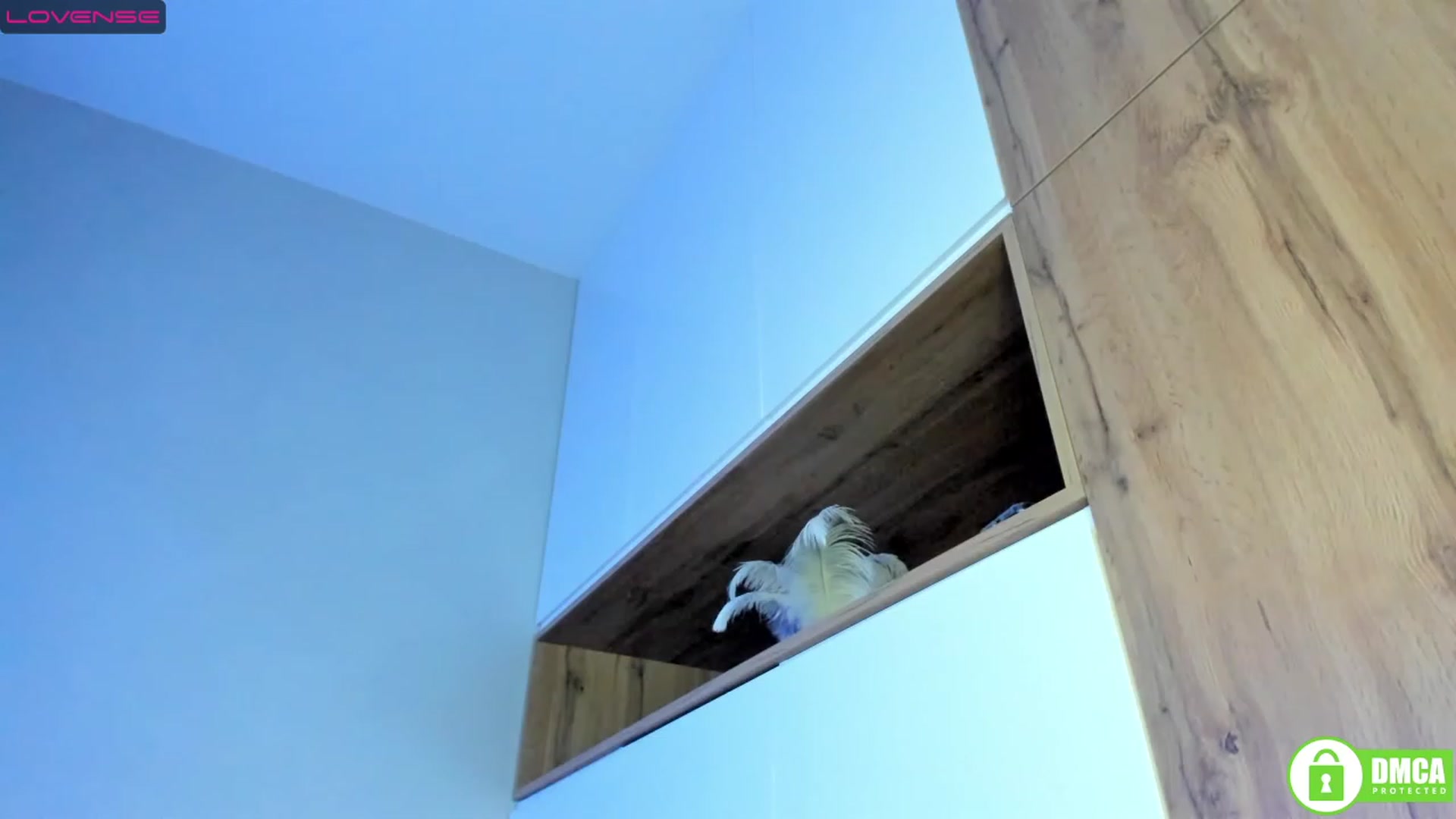 LadyKate_ video thumbnail