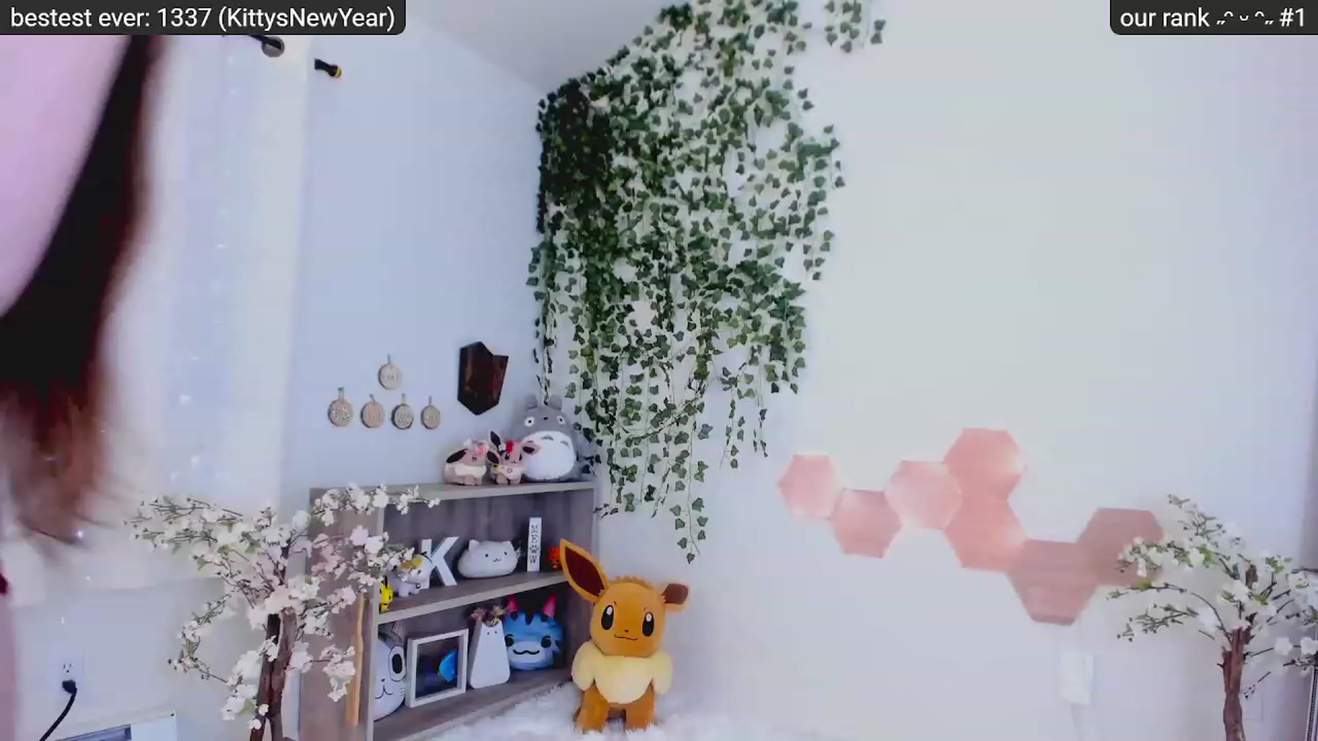 Kitty video thumbnail