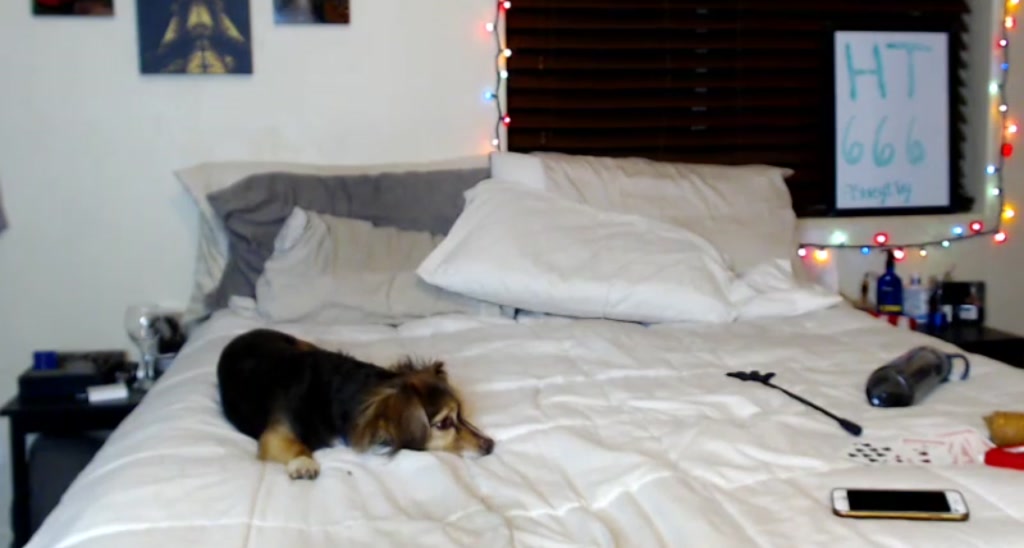 AshleyyLovee video thumbnail