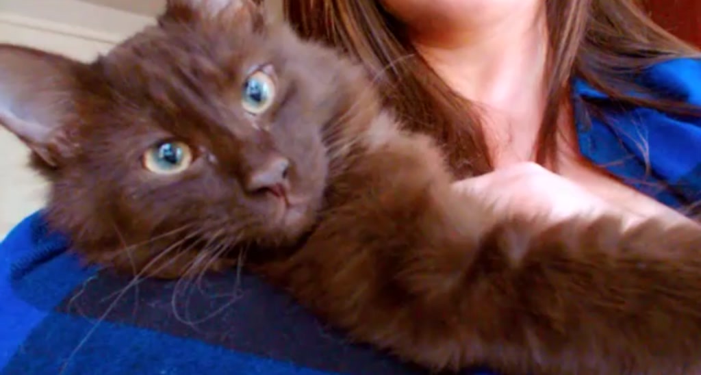 adrey_ video thumbnail