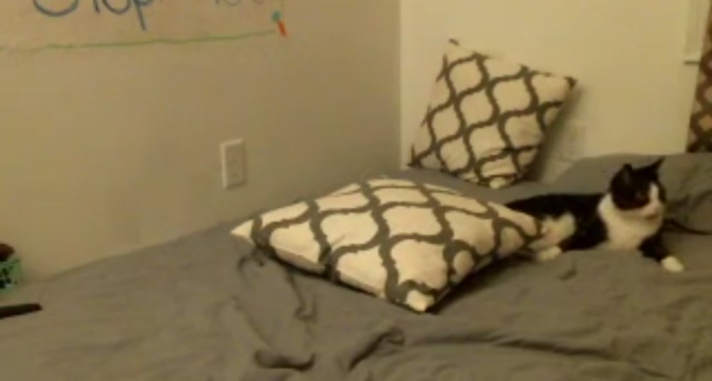 BabyCarrot_ video thumbnail