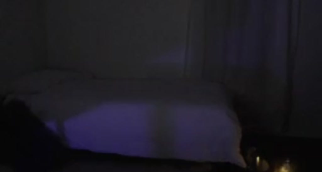 IndigoWild video thumbnail
