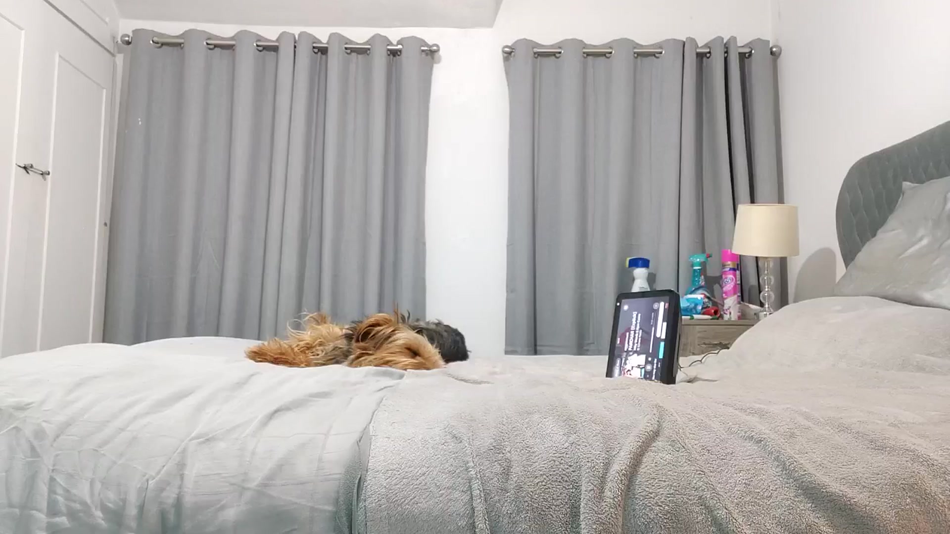 RiaMartinez video thumbnail
