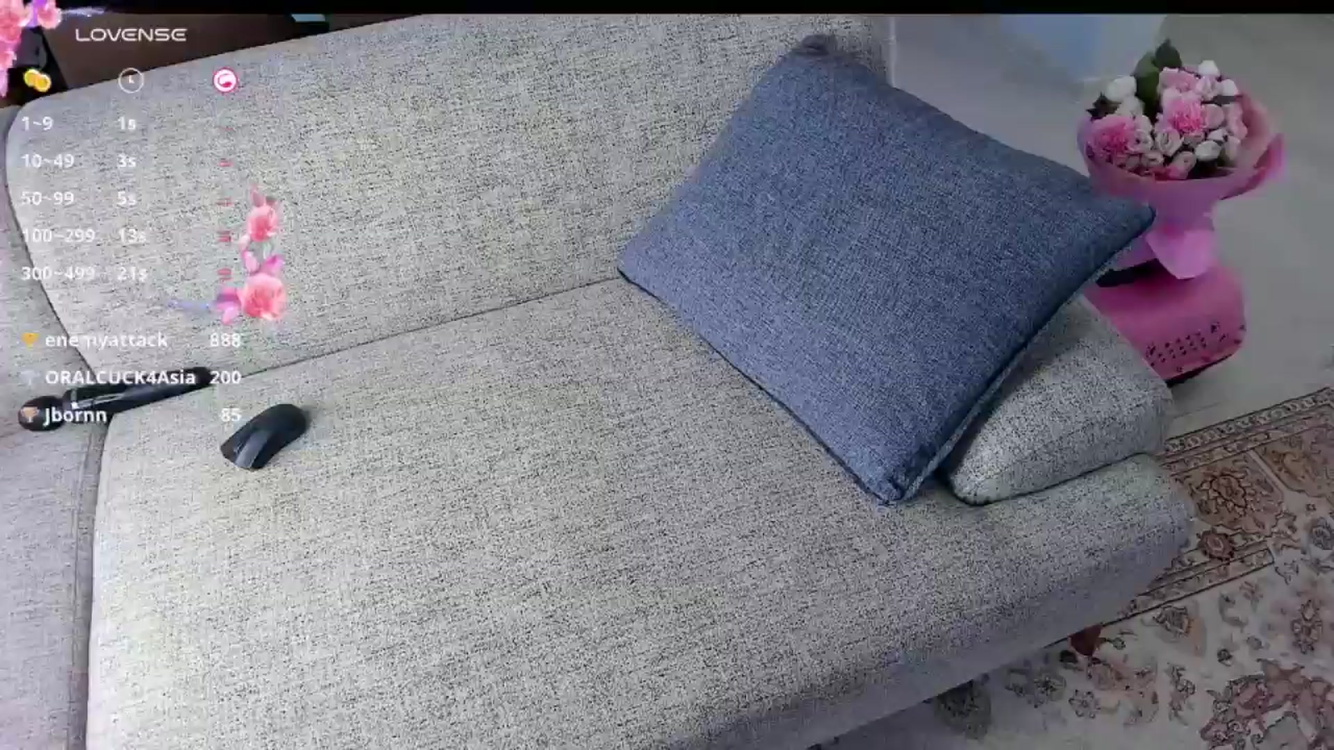 OnlyCats video thumbnail