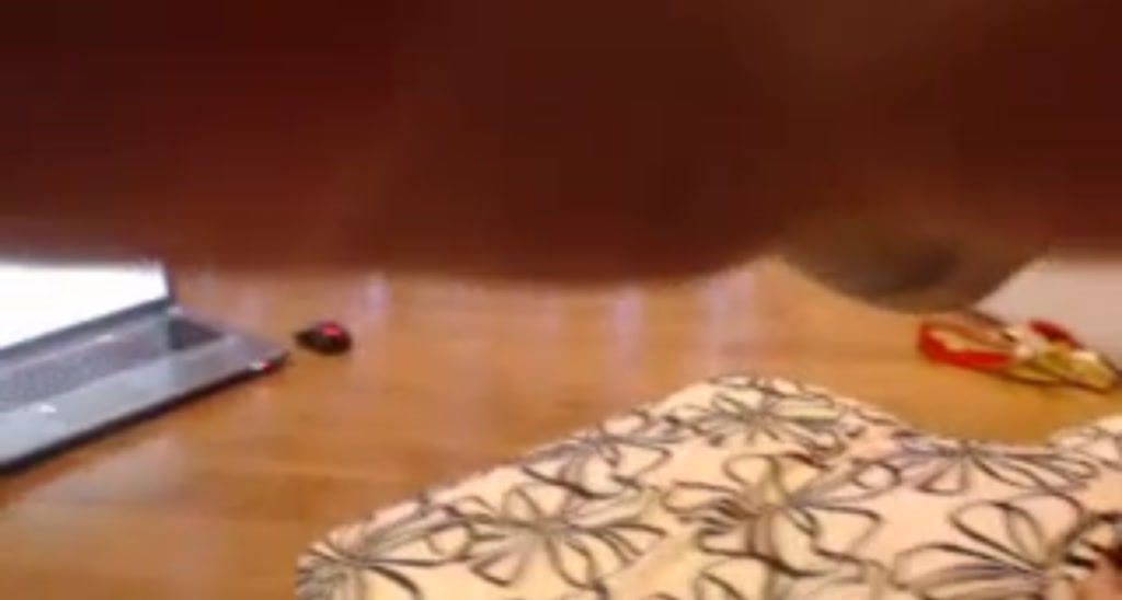 Brina_ video thumbnail
