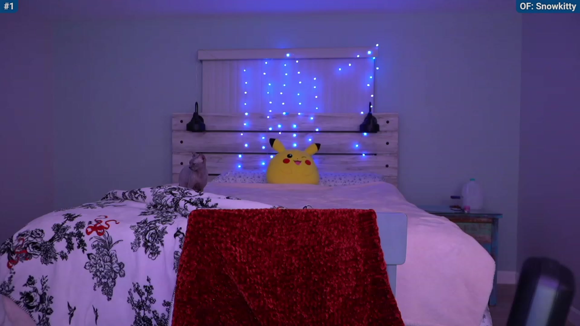 Snowkitty video thumbnail