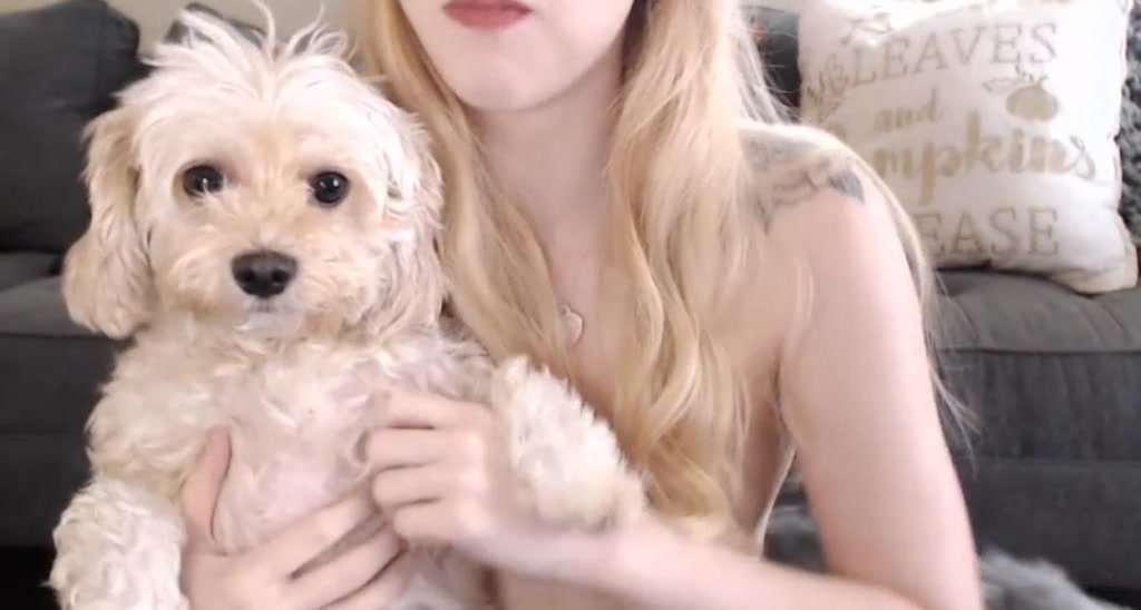 Kitten video thumbnail