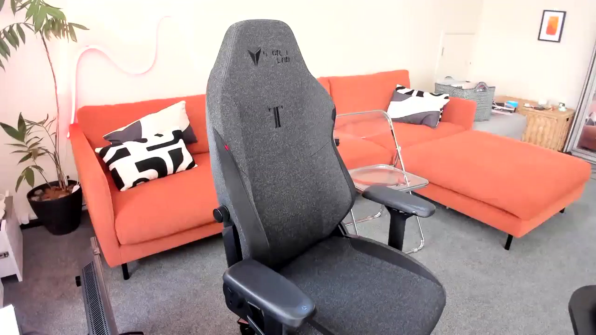 Alice_NZ video thumbnail
