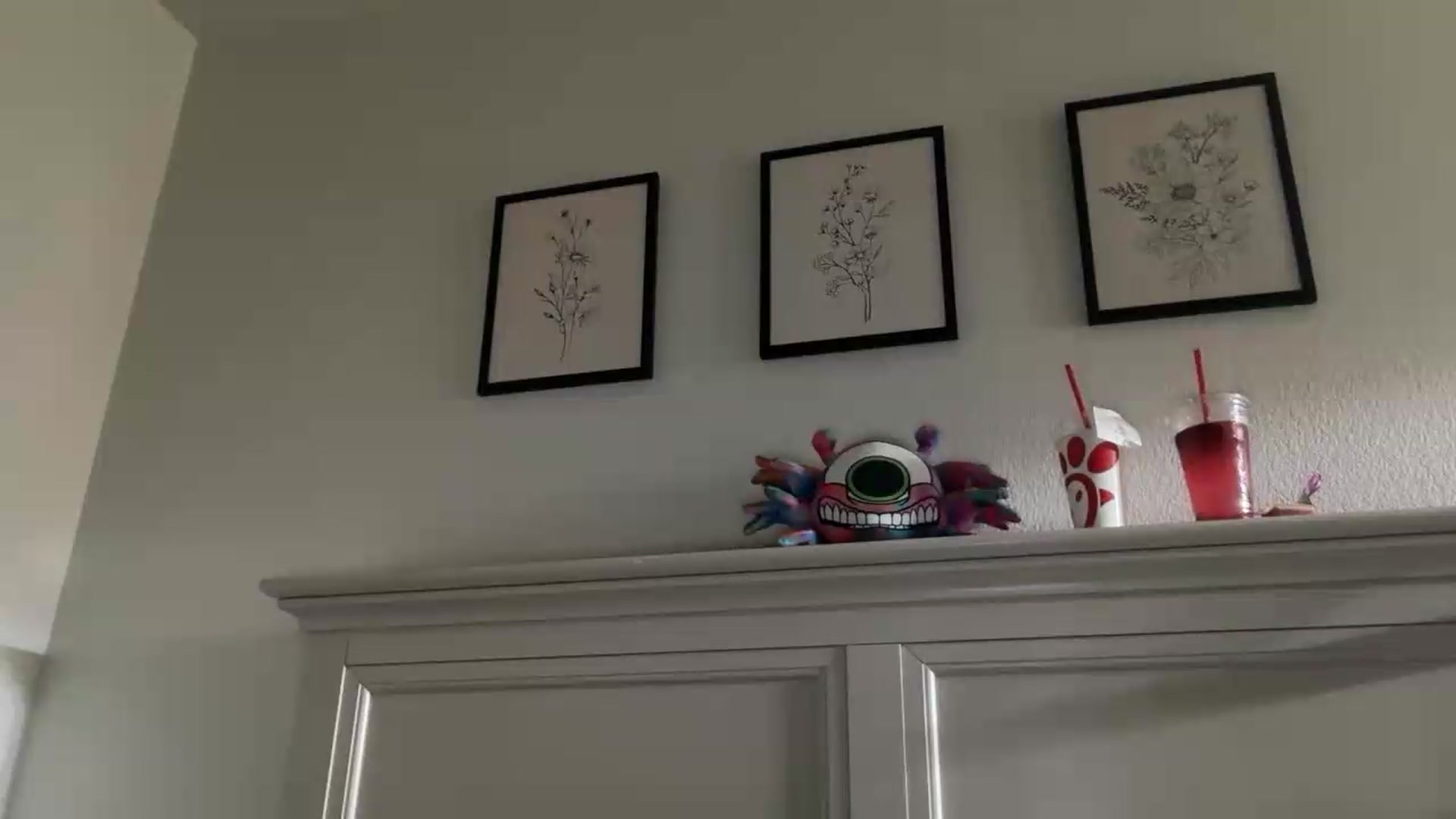 malani24 video thumbnail
